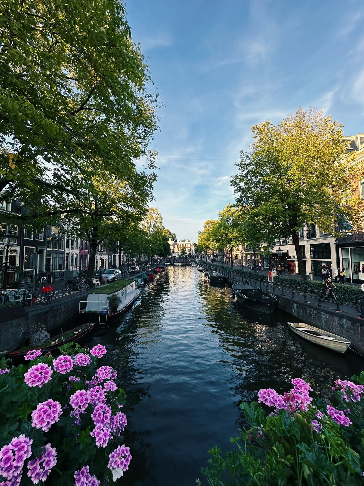 Study in Netherlands